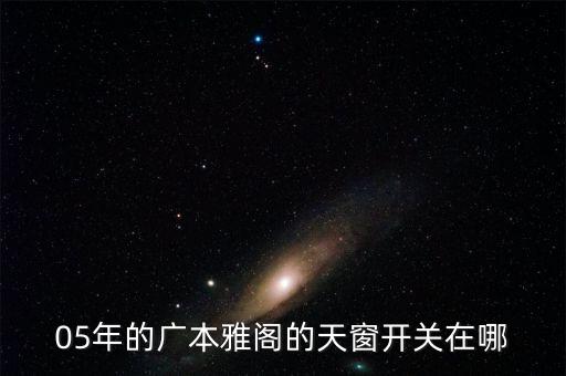 05年的广本雅阁的天窗开关在哪
