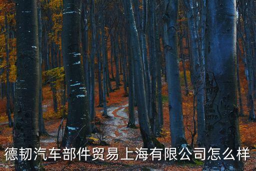 德韧汽车部件贸易上海有限公司怎么样