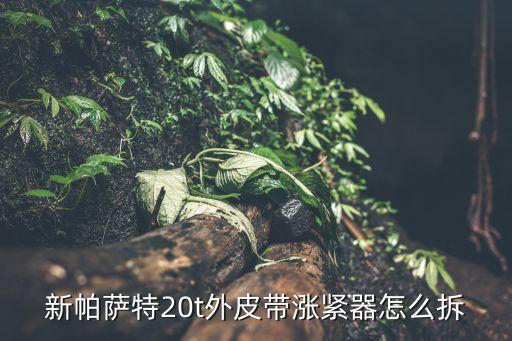 新帕萨特20t外皮带涨紧器怎么拆
