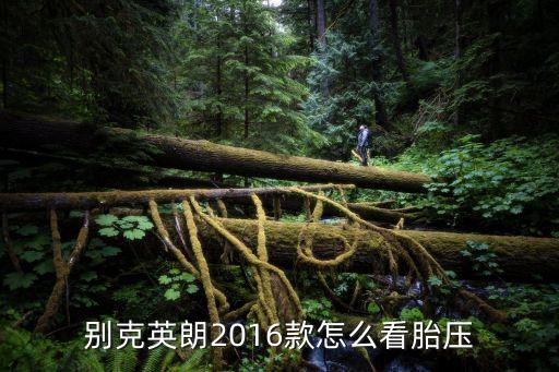别克英朗2016款怎么看胎压