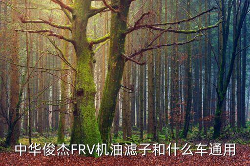 中华俊杰FRV机油滤子和什么车通用