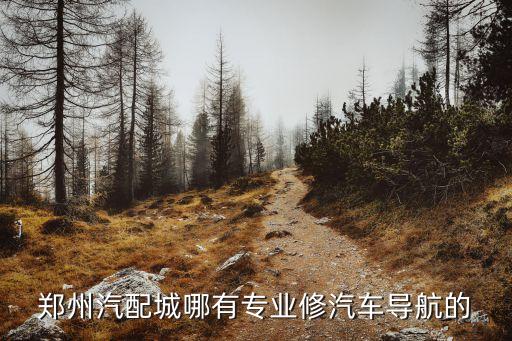 郑州汽配城哪有专业修汽车导航的