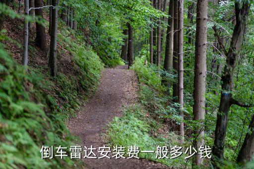倒车雷达安装费一般多少钱