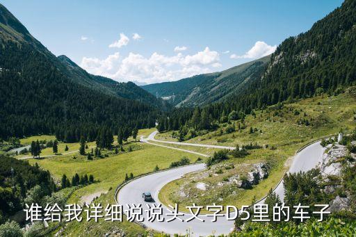 D5车有什么型号，这个配置什么价格