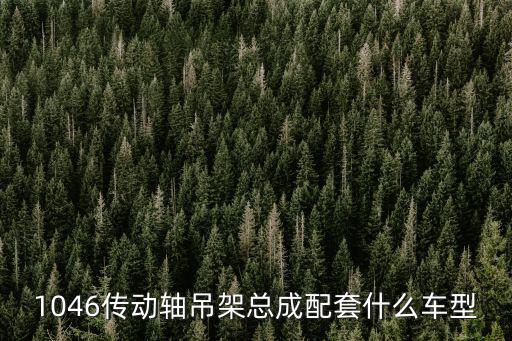 1046传动轴吊架总成配套什么车型