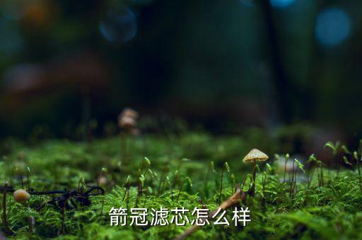 箭冠滤芯怎么样