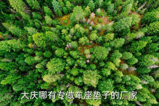 大庆哪有专做车座垫子的厂家