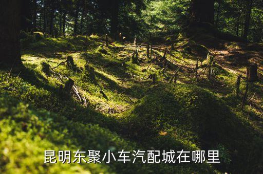 汽车配件在哪里，昆明东聚小车汽配城在哪里