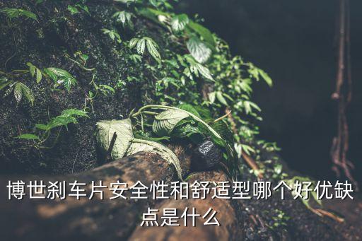 博世刹车片安全性和舒适型哪个好优缺点是什么