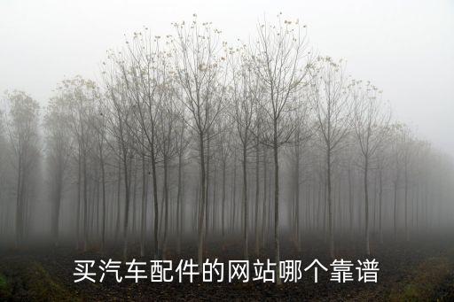 买汽车配件的网站哪个靠谱