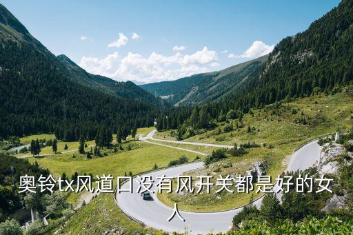 奥铃tx风道口没有风开关都是好的女人