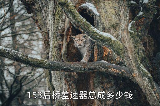 153后桥差速器总成多少钱