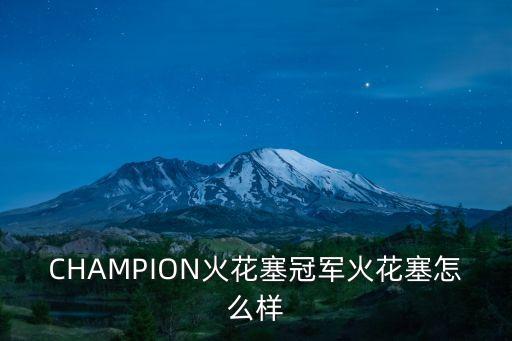 CHAMPION火花塞冠军火花塞怎么样