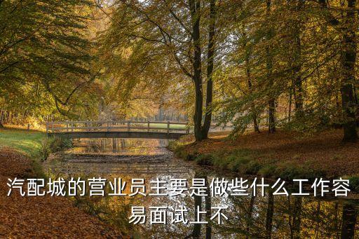 汽配城的营业员主要是做些什么工作容易面试上不