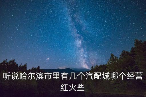 听说哈尔滨市里有几个汽配城哪个经营红火些