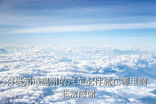有谁知道温州的汽车配件城在哪里啊 非常感谢