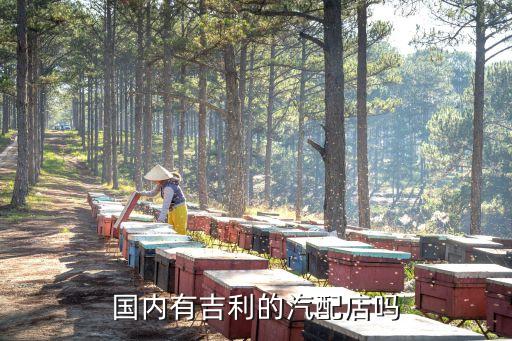 国内有吉利的汽配店吗