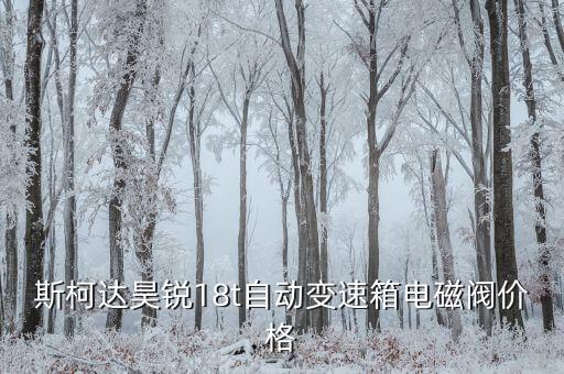 斯柯达昊锐18t自动变速箱电磁阀价格