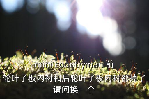 mini countryman 前轮叶子板内衬和后轮叶子板内衬都掉了请问换一个