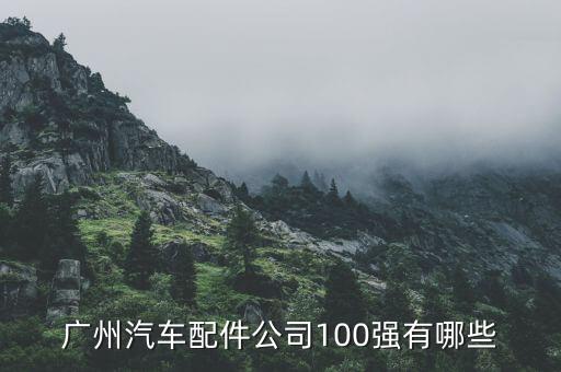 广州汽车配件公司100强有哪些