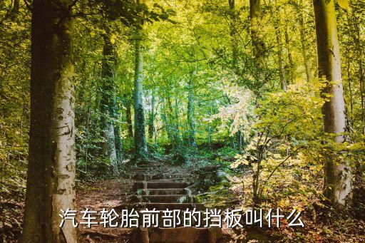 汽车轮胎前部的挡板叫什么