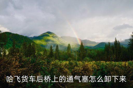 哈飞货车后桥上的通气塞怎么卸下来