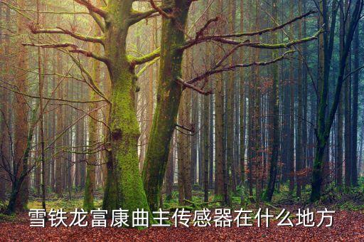 雪铁龙富康曲主传感器在什么地方