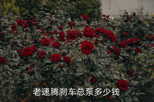 老速腾刹车总泵多少钱