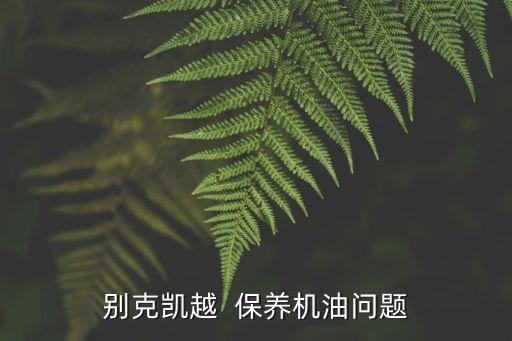 别克凯越  保养机油问题