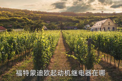 福特蒙迪欧起动机继电器在哪