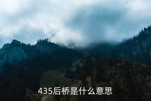 435后桥是什么意思