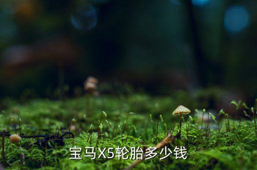 宝马X5轮胎多少钱