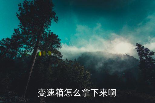 变速箱怎么拿下来啊