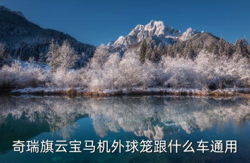 奇瑞旗云宝马机外球笼跟什么车通用