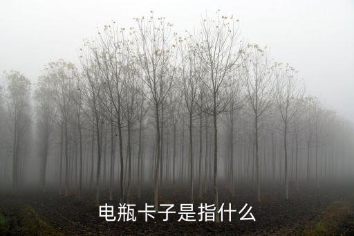 电瓶卡子是指什么