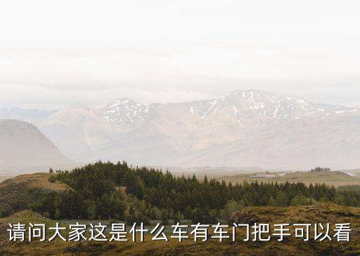 请问大家这是什么车有车门把手可以看