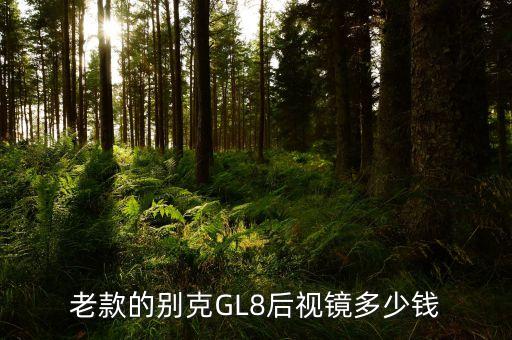老款的别克GL8后视镜多少钱