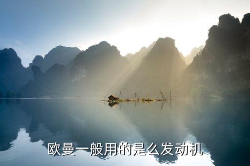 欧曼一般用的是么发动机