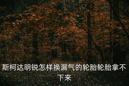 斯柯达明锐怎样换漏气的轮胎轮胎拿不下来