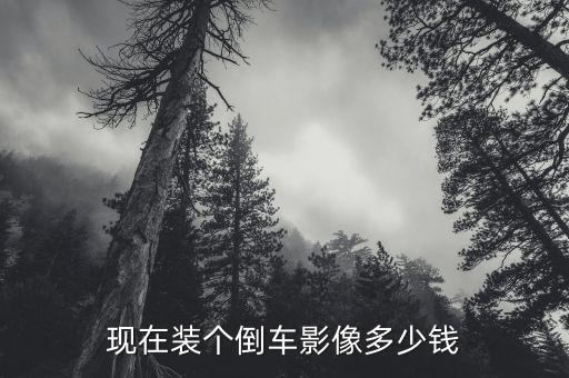 现在装个倒车影像多少钱