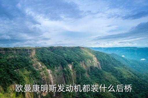 欧曼康明斯发动机都装什么后桥