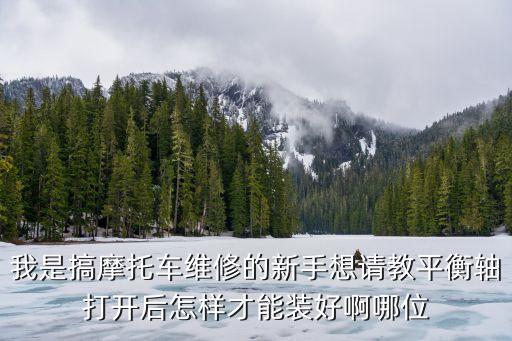 我是搞摩托车维修的新手想请教平衡轴打开后怎样才能装好啊哪位