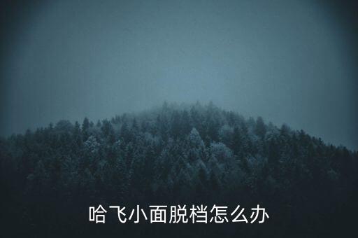 哈飞小面脱档怎么办