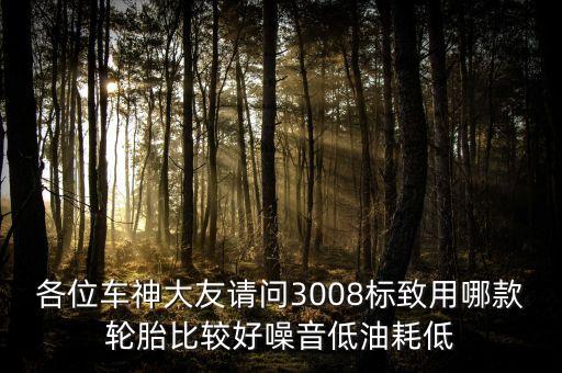 各位车神大友请问3008标致用哪款轮胎比较好噪音低油耗低