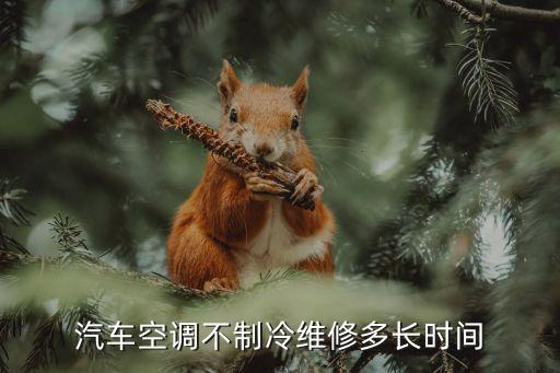汽车空调不制冷维修多长时间