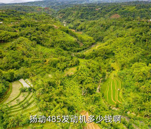 扬动485发动机多少钱啊