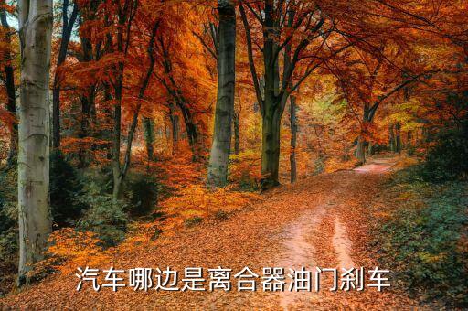 汽车哪边是离合器油门刹车