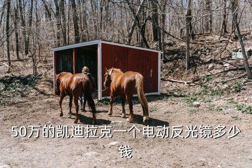 50万的凯迪拉克一个电动反光镜多少钱