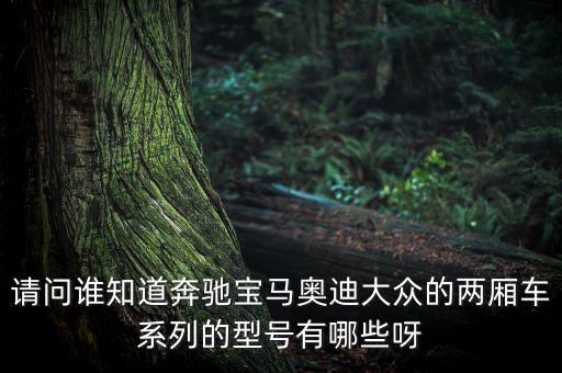 请问谁知道奔驰宝马奥迪大众的两厢车系列的型号有哪些呀