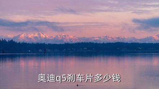 奥迪q5刹车片多少钱